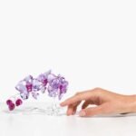 Crystal Flowers Orchid - Image 2