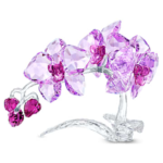 Crystal Flowers Orchid