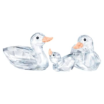 Ducks