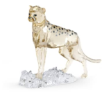 Elegance of Africa SCS Cheetah Baby Jabari