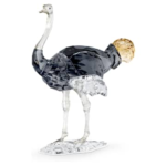Elegance of Africa SCS Ostrich Makena