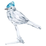 Feathered Beauties Blue Jay