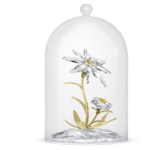Florere 130th Anniversary Bell Jar