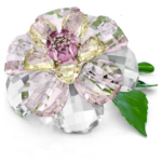 Florere Camellia