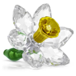 Florere Daffodil
