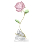 Florere Rose