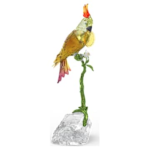Idyllia Cockatoo
