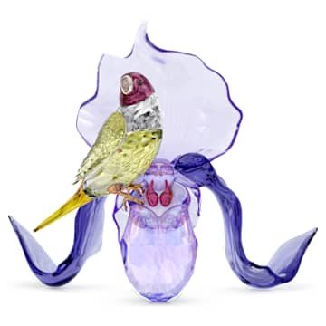 idyllia-gouldian-finch-and-orchid-swarovski-5675211 Idyllia Gouldian Finch and Orchid - Image 1