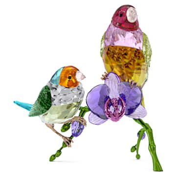 Idyllia SCS Annual Edition 2024 Gouldian Finches