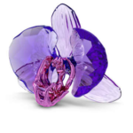 Idyllia SCS Orchid Petal