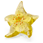 Idyllia SCS Starfish