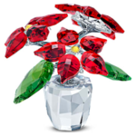 Joyful Poinsettia