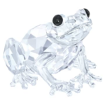 Peaceful Countryside Frog