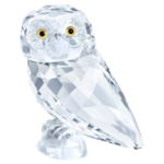 Peaceful Countryside Owlet