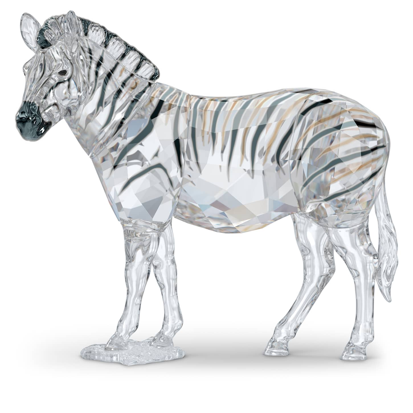 Elegance of Africa SCS Annual Edition 2021 Zebra Amai