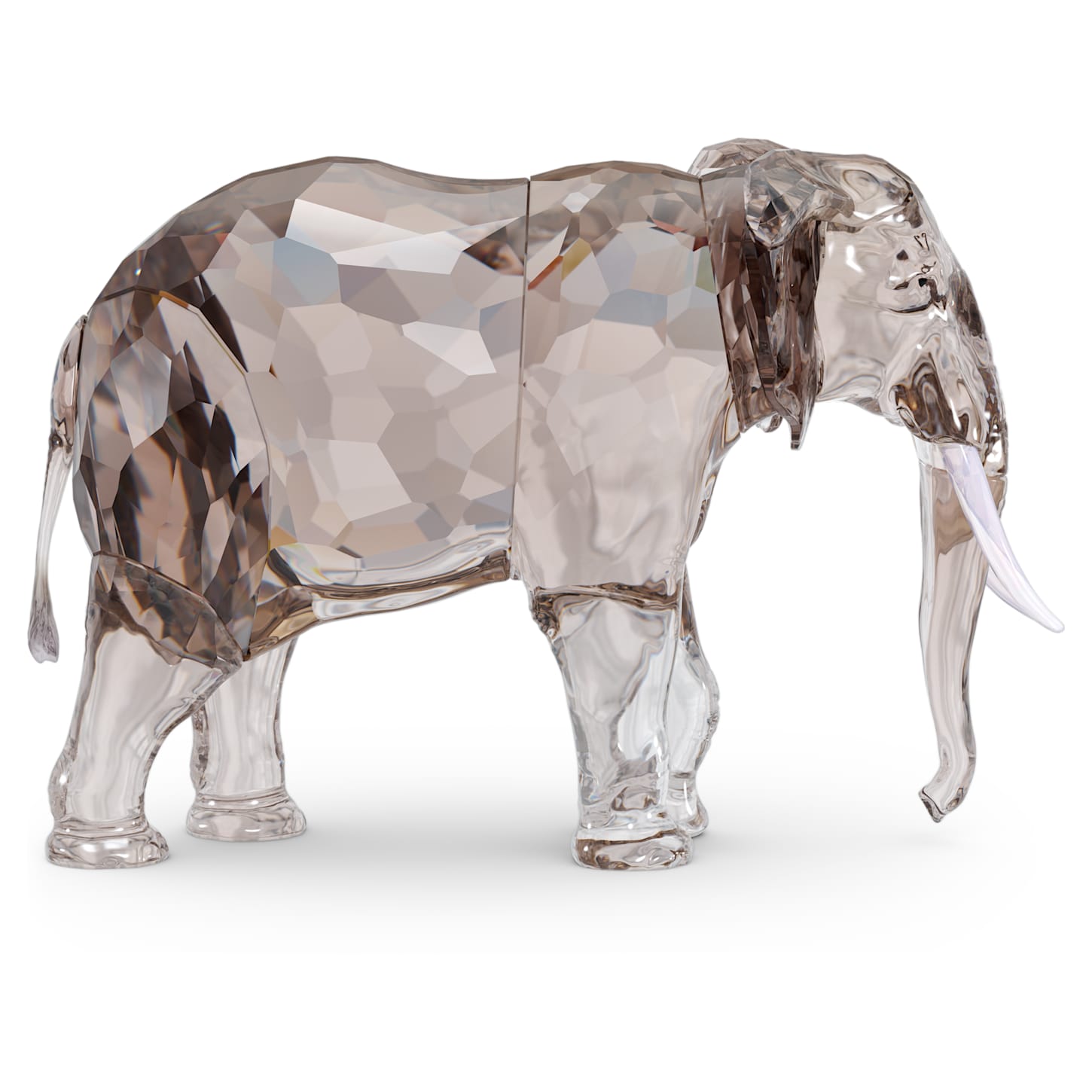 Elegance of Africa SCS Annual Edition 2022 Elephant Fayola