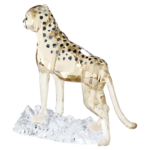 Elegance of Africa SCS Cheetah Baby Jabari - Image 2