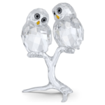 Feathered Beauties Owl Couple