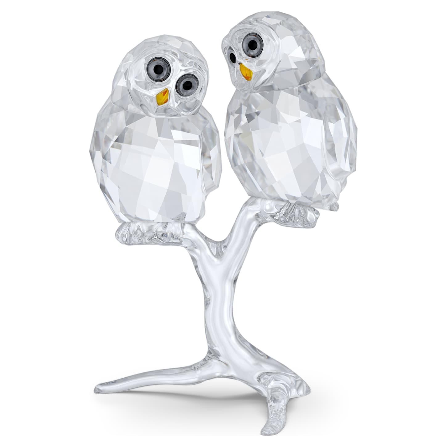 Feathered Beauties Owl Couple