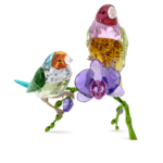 Idyllia SCS Annual Edition 2024 Gouldian Finches - Image 2