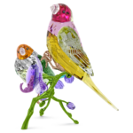 Idyllia SCS Annual Edition 2024 Gouldian Finches - Image 3