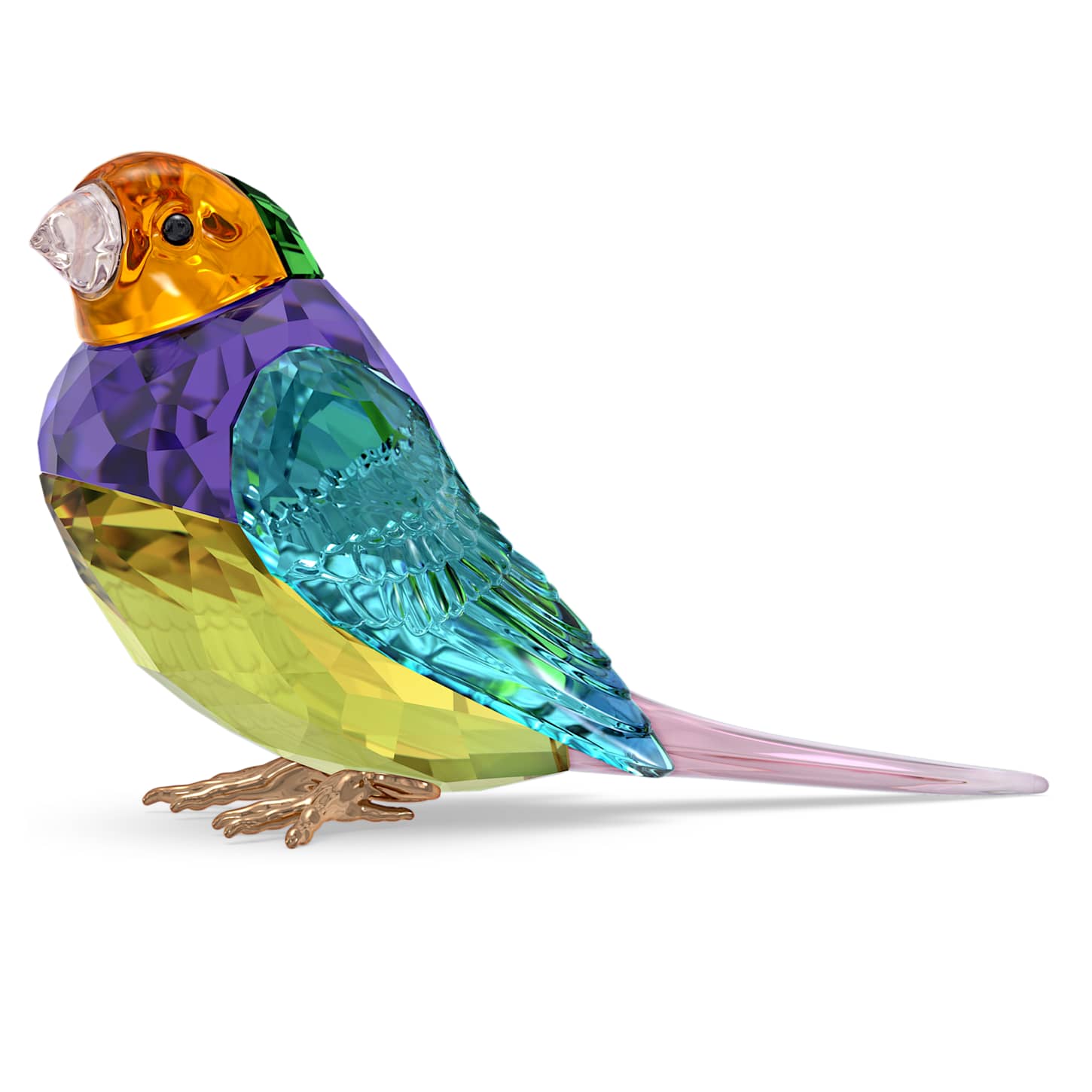 Idyllia SCS Gouldian Finch Small