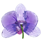 Idyllia SCS Orchid Petal - Image 2
