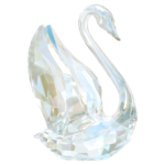 SCS Annual Edition Swan 2024 - Image 2